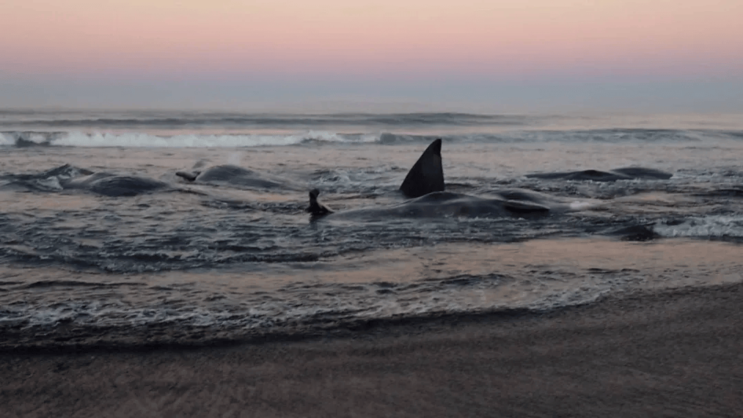皇冠登一登二登三区别
_日本海啸警报190万人撤离皇冠登一登二登三区别
，横滨出现河水倒流，海啸持续一天