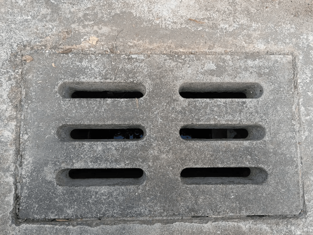 皇冠信用网账号注册
_家里的这几个地方皇冠信用网账号注册
,正悄悄“养”出花斑蚊!快自查→