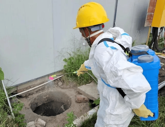 皇冠信用网账号注册
_家里的这几个地方皇冠信用网账号注册
,正悄悄“养”出花斑蚊!快自查→