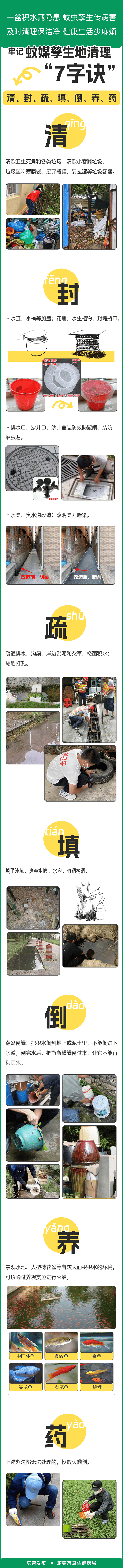 皇冠信用网账号注册
_家里的这几个地方皇冠信用网账号注册
,正悄悄“养”出花斑蚊!快自查→